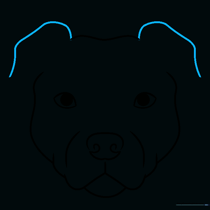 Drawing two long curved lines at the top of the head for ear placement.