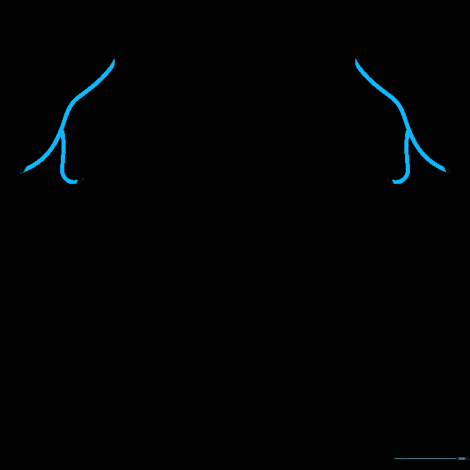Adding inverted Y-shaped lines to complete the dog's ears.