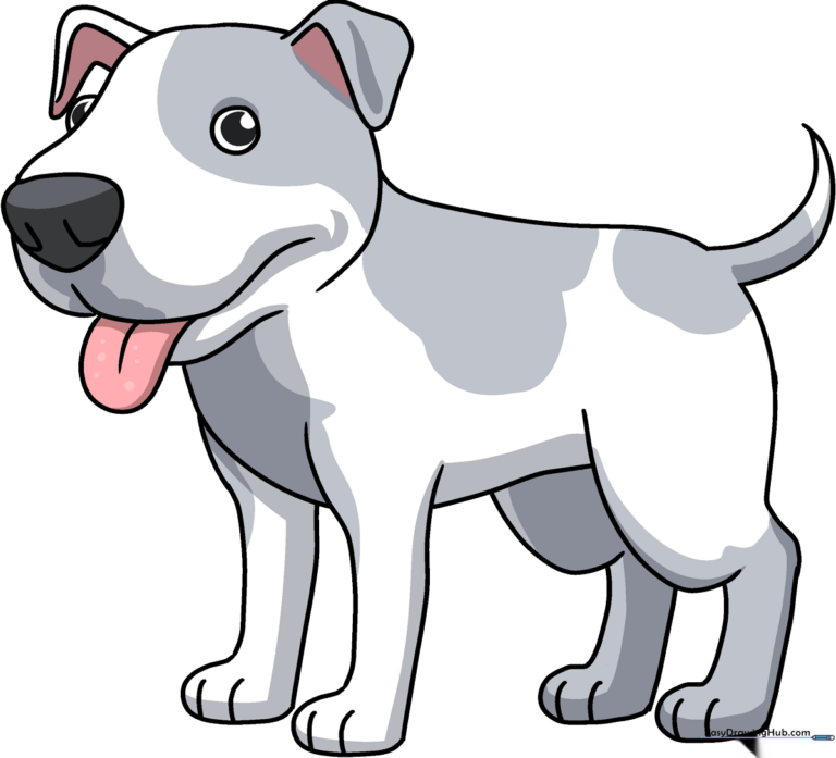 A friendly, finished cartoon Pitbull drawing, serving as the final goal for the tutorial.