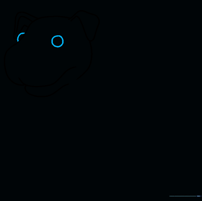 Adding two simple circular eyes to the Pitbull's face to create a friendly look.