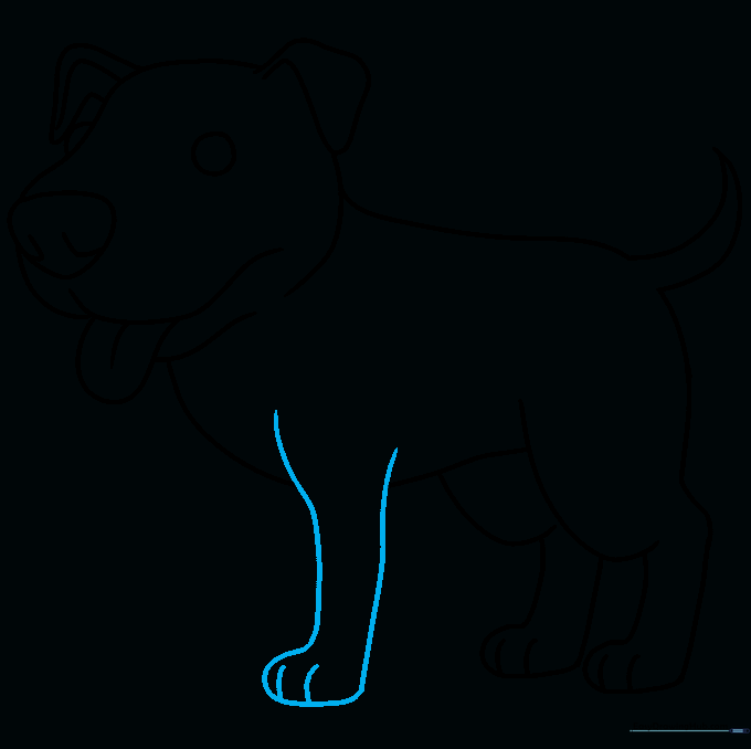 Adding the first front leg to the Pitbull's chest area.