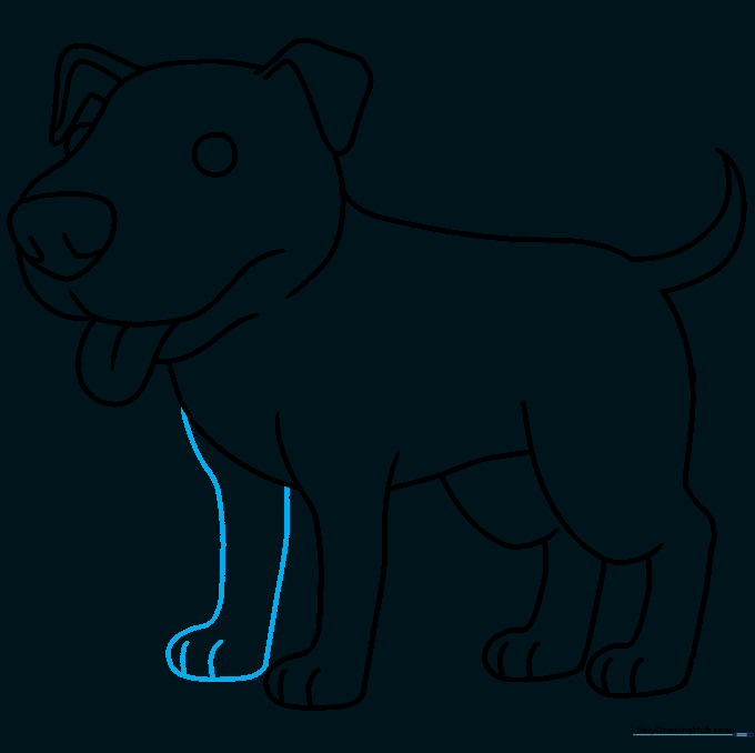 Completing the final front leg to finish the full body outline of the Pitbull.