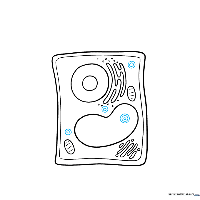 Adding small peroxisome circles and crystal structures inside the cell vacuole.