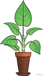 A vibrant, finished drawing of a potted plant, showcasing the final result of the tutorial.