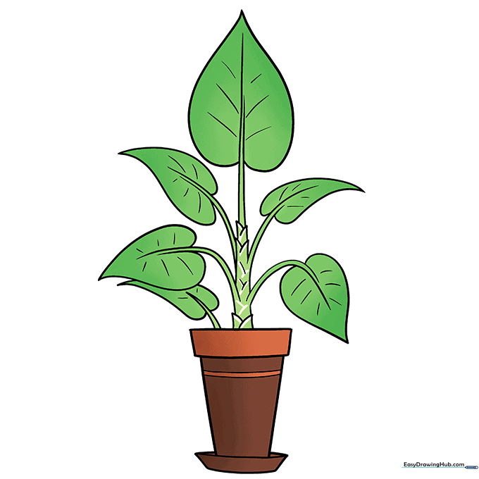 Fully colored drawing of a green plant in a terra cotta pot.