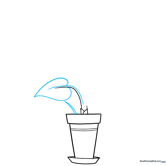 Drawing a single heart-shaped leaf attached to a curved stem rising from the pot.