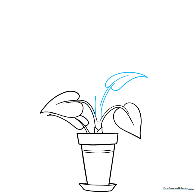 Extending the central stem upward with an additional leaf attached.