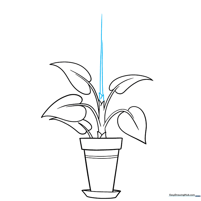 Detailing the top of the plant with new sprout lines.