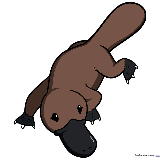 Finished, colored cartoon platypus drawing.
