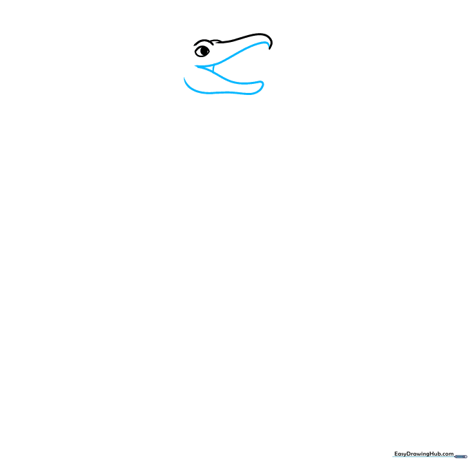 Pencil outline of the open mouth and lower jaw structure of the Plesiosaurus.