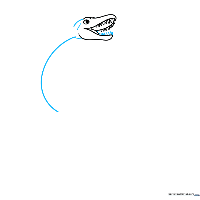 The Plesiosaurus head connected to a long, graceful neck line.