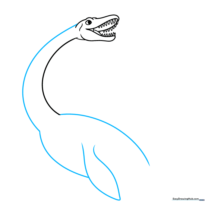 Outline of the Plesiosaurus body and the first large front flipper.