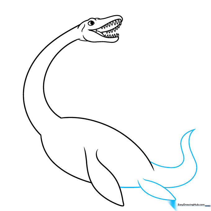 Plesiosaurus drawing showing the addition of rear flippers and a pointed tail.