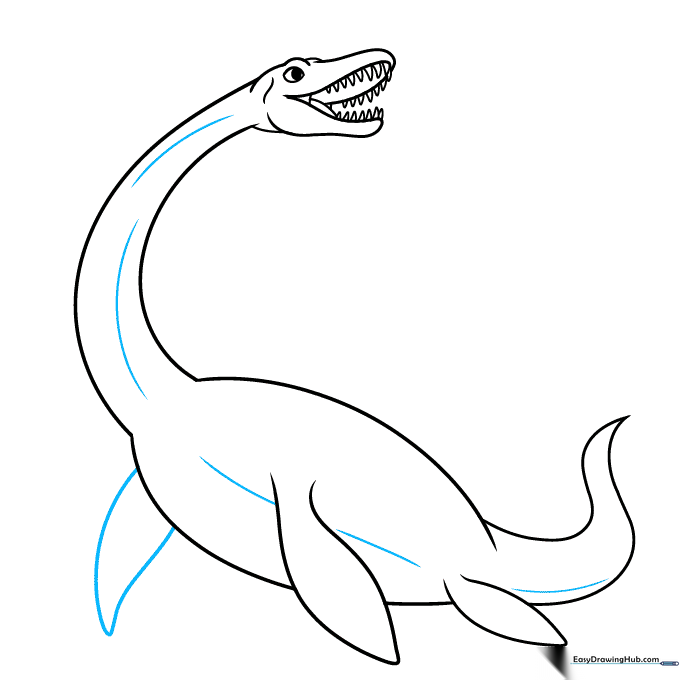 Plesiosaurus body refinement with added contour lines for the belly and second flipper.