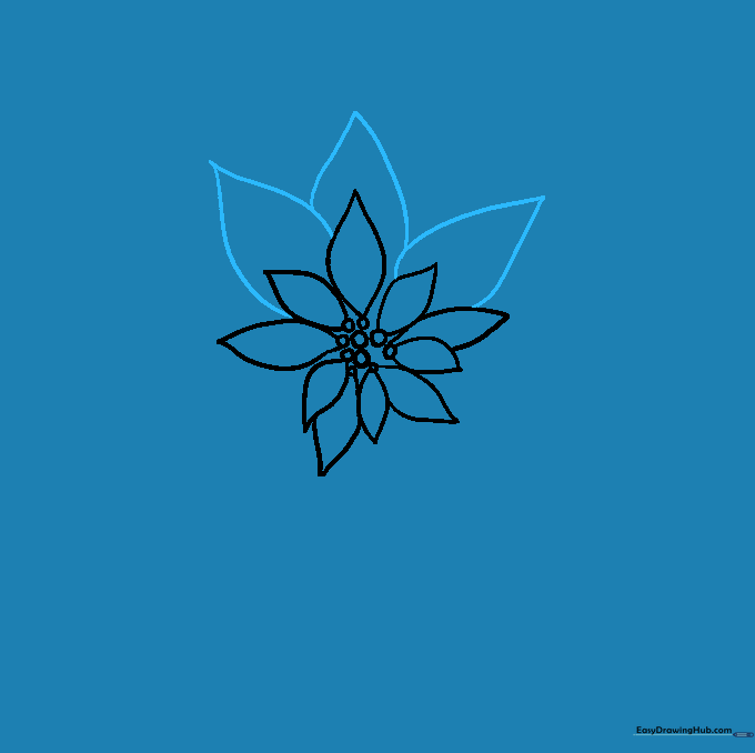 Adding a second, larger layer of petals behind the initial inner ring.
