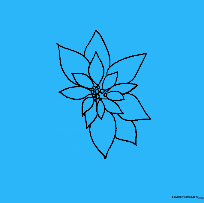 Completed outline of the outer petal layer of the poinsettia.