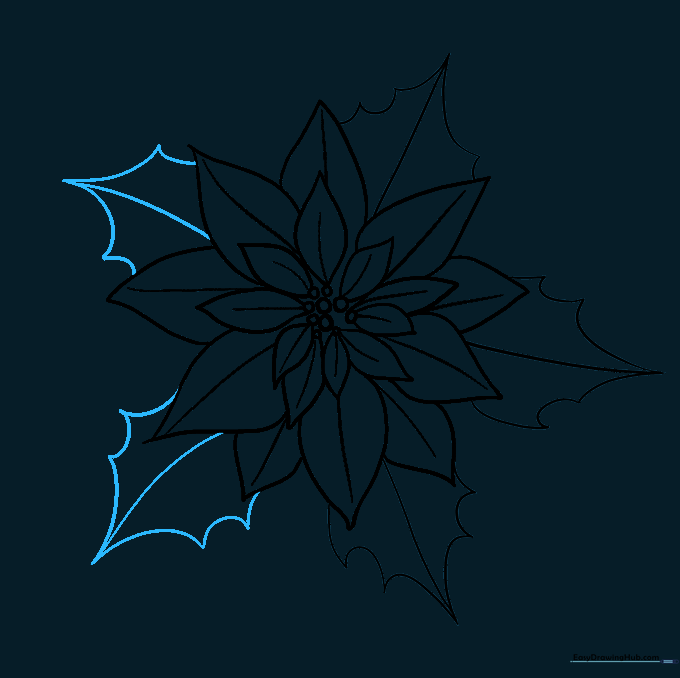 Completing the drawing by adding more jagged leaves around the base.