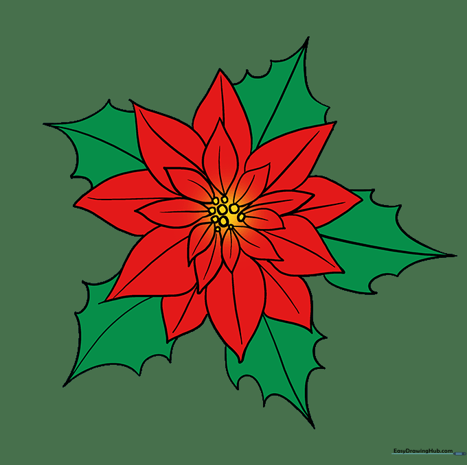 The finished, colored poinsettia drawing with red petals and green leaves.