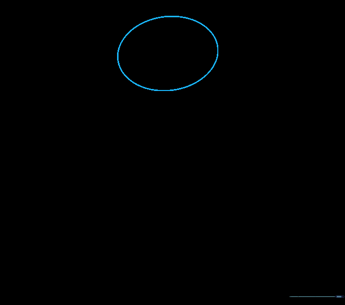 A simple light pencil oval representing the top of a polar bear cub's head on a white background.