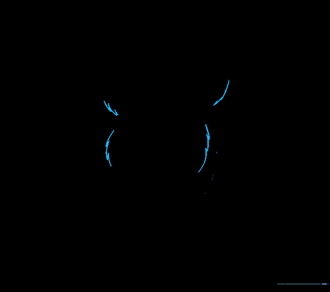 Adding more jagged fur texture lines to the face and arms.