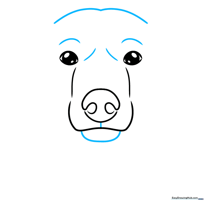 Drawing the muzzle and the rounded top of the polar bear's head.