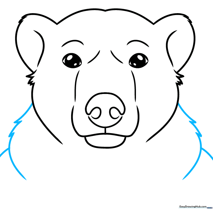 Refining the cheek structure with triangular shapes and curved lines.