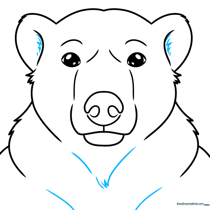 Adding chest fur details and interior ear shading.