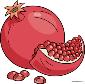 Vibrant, fully colored pomegranate illustration showing a whole fruit and a slice.