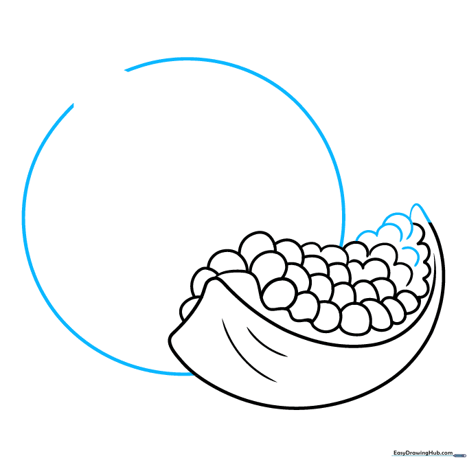 Sketching a whole pomegranate behind the slice using a large circle.