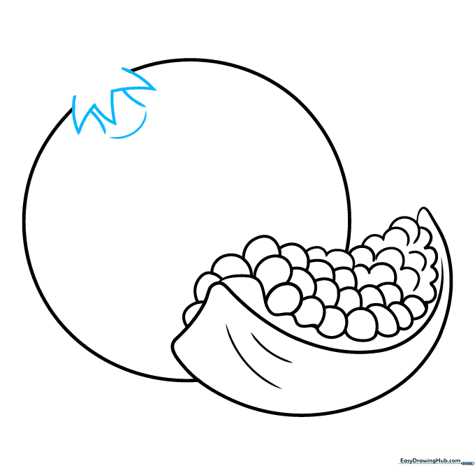 Drawing the star-shaped calyx on top of the whole pomegranate.