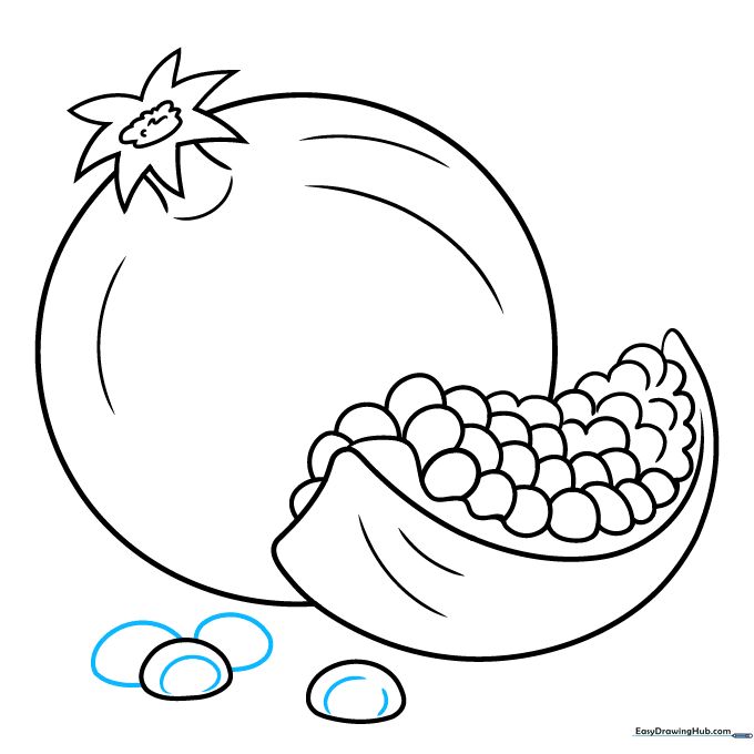 Completed pomegranate line art with seed details.