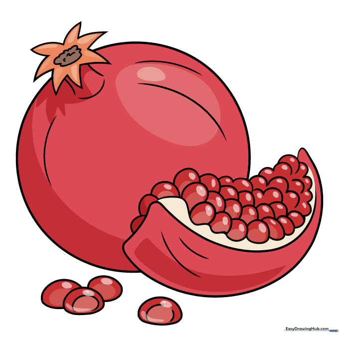 Finished, colored pomegranate drawing with red and pink highlights.