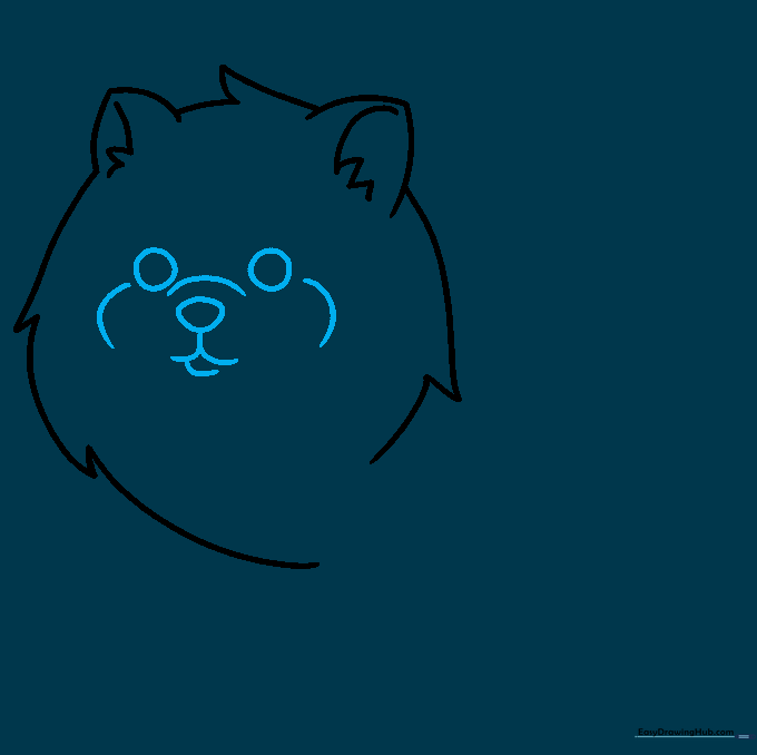 Adding the Pomeranian's eyes, nose, and mouth features to the face.