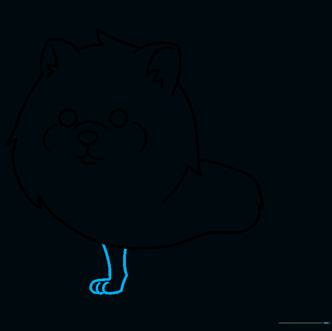 Drawing the first front leg and paw of the Pomeranian.