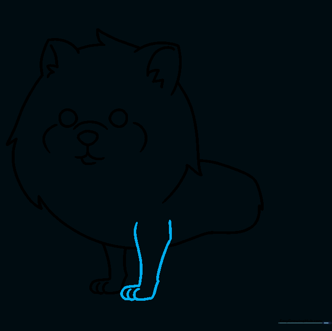 Adding the second front leg to complete the Pomeranian's stance.