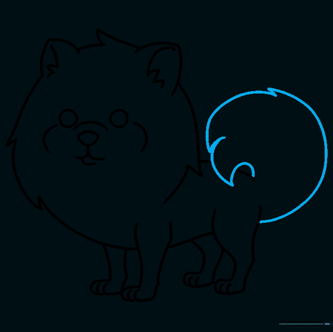 Adding the final touch: the signature fluffy, curled tail of the Pomeranian.