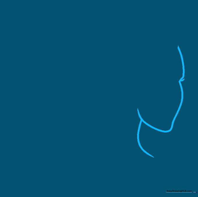 Line drawing of a woman's face profile showing the chin, nose, and neck outline.