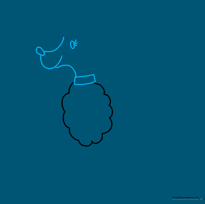 Drawing the poodle's facial features including the snout, nose, and eye