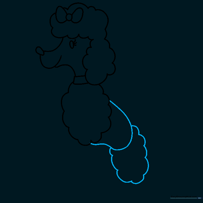 Outlining the poodle's body and hip area with rounded, fluffy lines