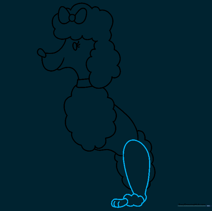 Sketching the poodle's rear leg with a fluffy ankle detail