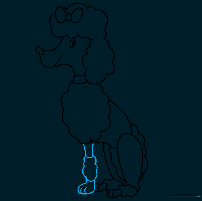 Adding the first front leg with a paw and ankle puff