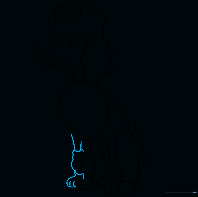 Drawing the final front leg to complete the poodle's silhouette