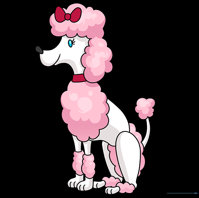 A fully colored, cute cartoon poodle with fluffy fur
