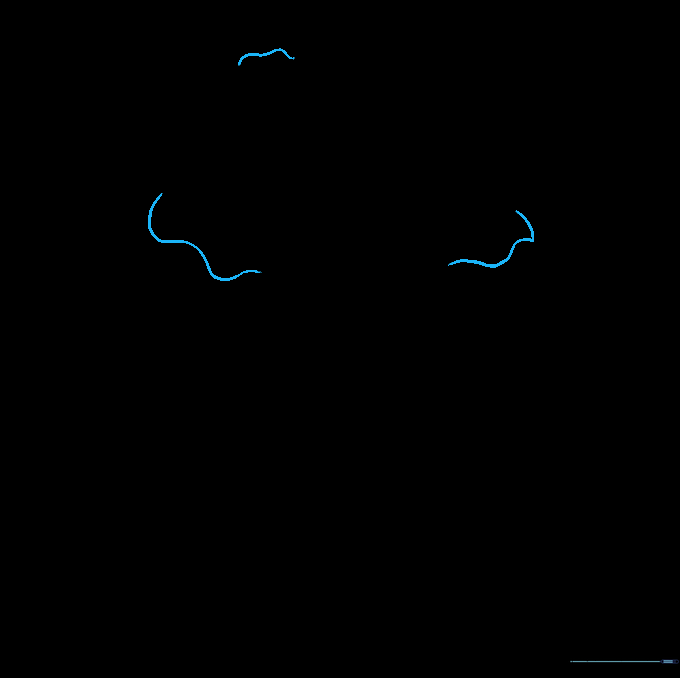 Adding detail lines at the petal junctions for a layered effect.