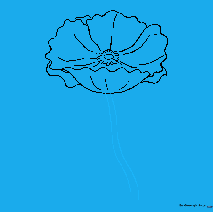 Drawing a long, slightly curved stem extending from the poppy bloom.