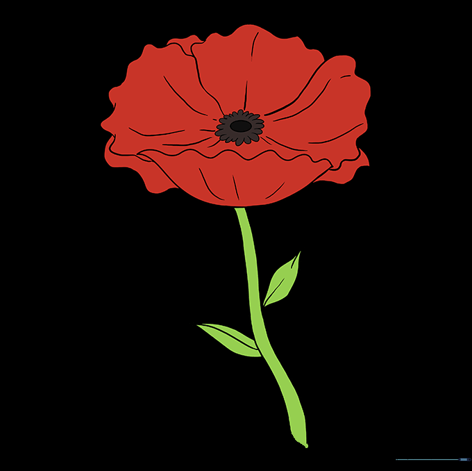 A fully colored, vibrant red poppy with a black center and green stem.