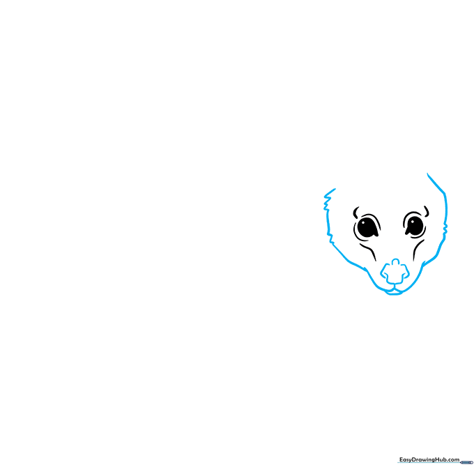 Drawing the possum's snout using U-shaped lines and soft facial contours.