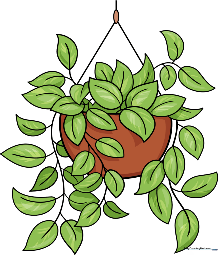 A colorful, finished drawing of a Pothos plant hanging in a pot, showcasing lush green leaves and vines.