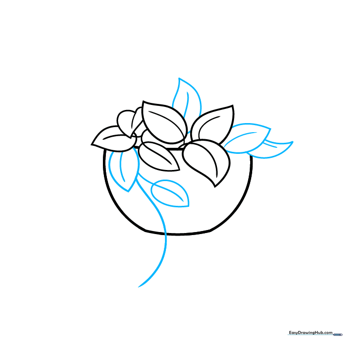 Sketch showing a long, curved vine extending from the side of the plant pot with new leaves attached.