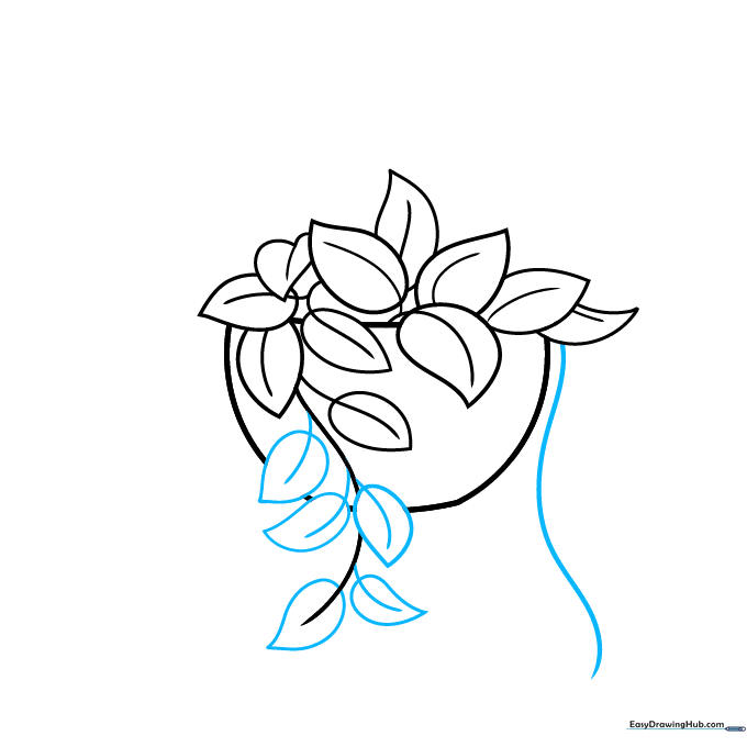 Drawing showing multiple leaves clustered along two separate vines extending from the pot.